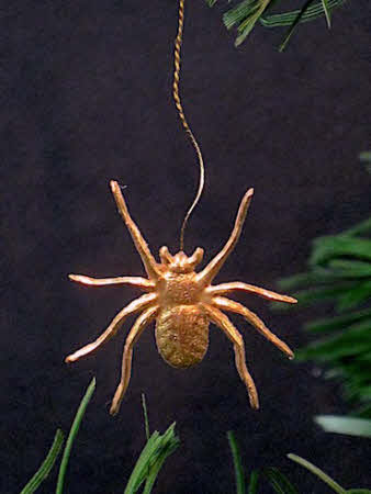 img_1321_20200913131532